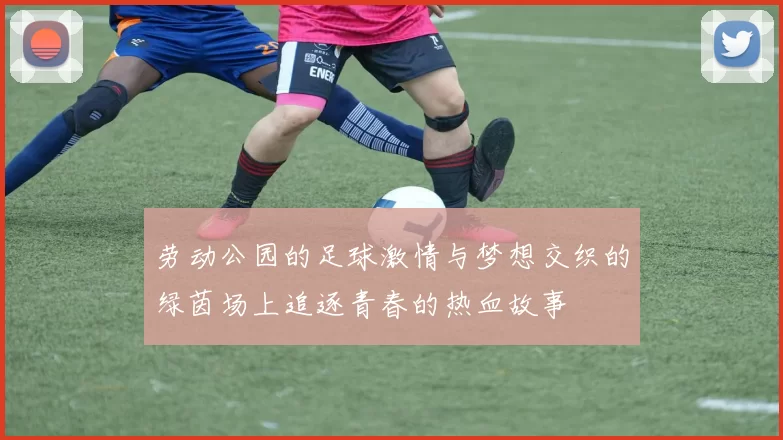 劳动公园的足球激情与梦想交织的绿茵场上追逐青春的热血故事